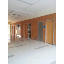 High Quality Wooden Fireproof Door, Hot Door for Italy